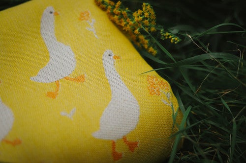 ROAR Wraps Quack Soleil kantoliina